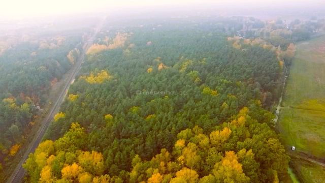 Działka leśna Wólka Radzymińska, ul. Leśna. Zdjęcie 5