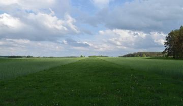 Działka rolna Bacze Mokre