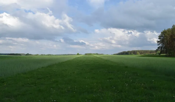 Działka rolna Bacze Mokre