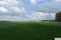 Działka rolna Bacze Mokre