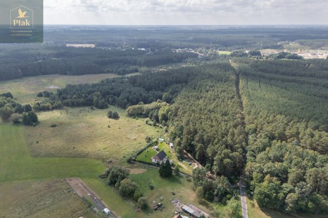 Działka rolna Obrzycko. Zdjęcie 10