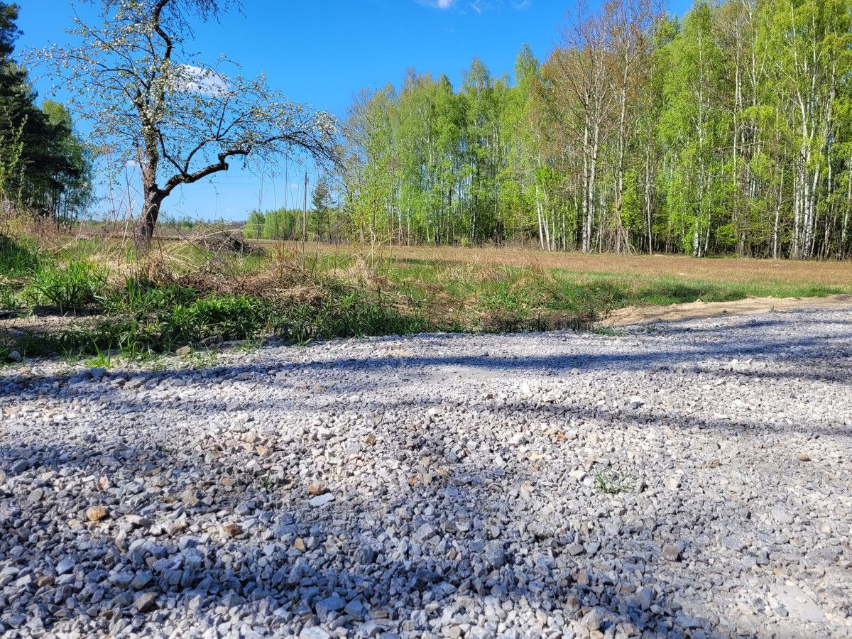 siedlisko Zaręby, ul. Kuropatwy. Zdjęcie 11