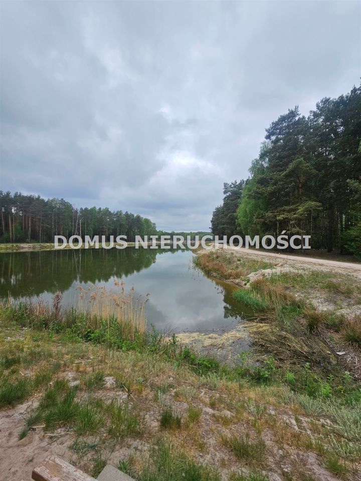 Działka siedliskowa Chociszew. Zdjęcie 8