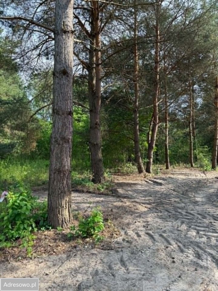 Działka budowlana Szczęsne. Zdjęcie 9
