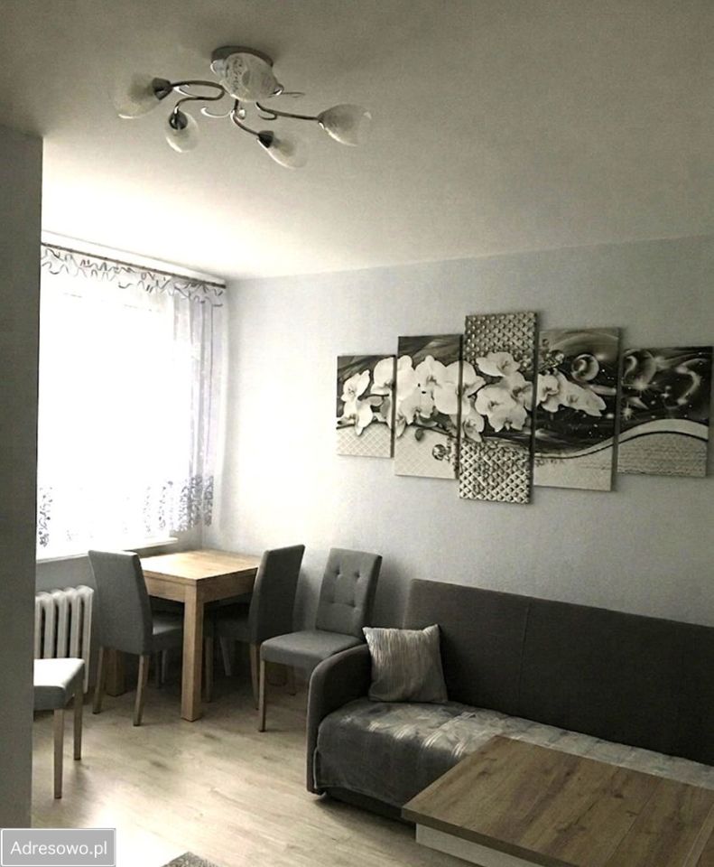 Mieszkanie 4-pokojowe Zielona Góra Centrum. Zdjęcie 2