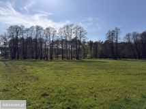 Działka budowlana Łaziska Górne, ul. Cieszyńska. Zdjęcie 3