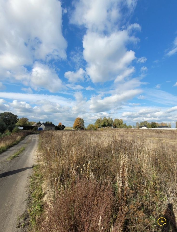 Działka budowlana Wołcza Wielka. Zdjęcie 5