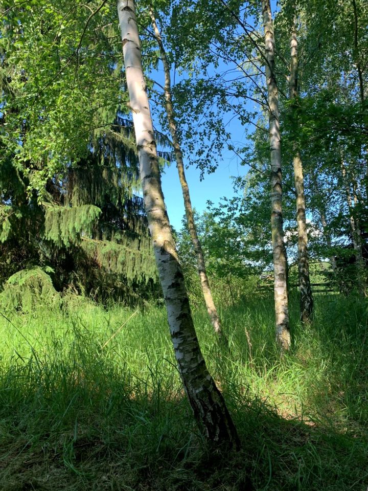 Działka rolno-budowlana Biskupin. Zdjęcie 13