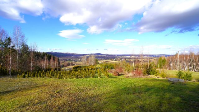 dom wolnostojący, 2 pokoje Ropica Polska. Zdjęcie 3