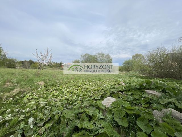 Działka rekreacyjna Żukowo. Zdjęcie 5