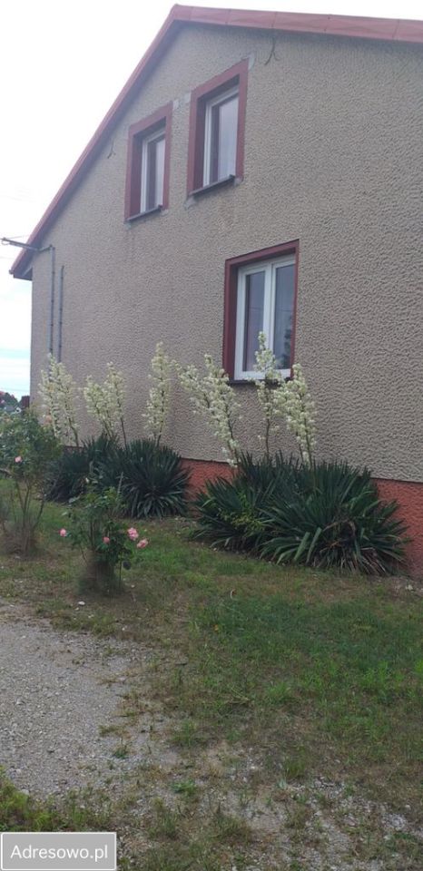 dom wolnostojący, 4 pokoje Ochotnik