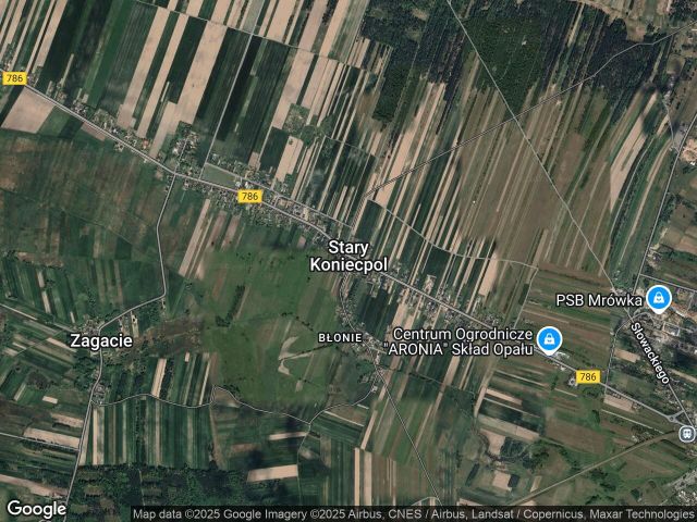 Działka rolno-budowlana Stary Koniecpol. Zdjęcie 1