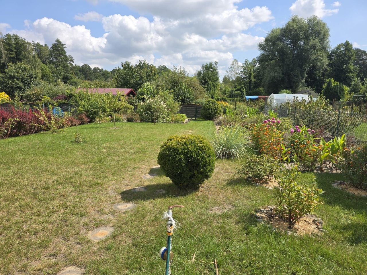 Działka rod Wędrzyn. Zdjęcie 4