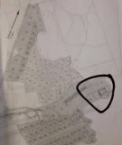 Działka rolna Borcz. Zdjęcie 1