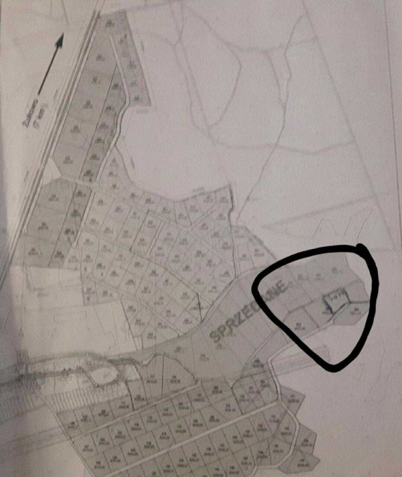 Działka rolna Borcz. Zdjęcie 2