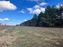Działka rolno-budowlana Stefanów. Zdjęcie 1
