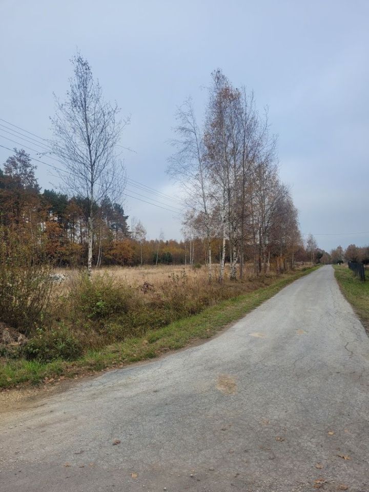 Działka budowlana Borki. Zdjęcie 7