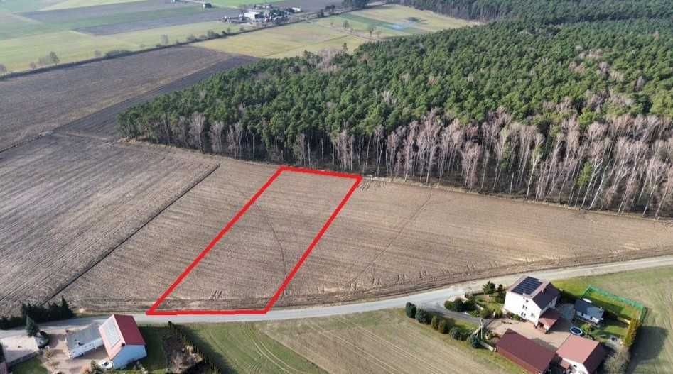 Działka budowlana Grabów-Wójtostwo. Zdjęcie 1