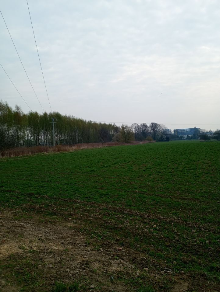 Działka inwestycyjna Żory Baranowice, ul. Familijna. Zdjęcie 5