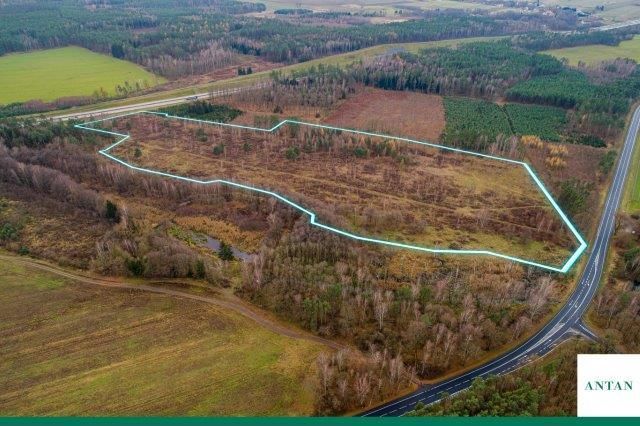 Działka inwestycyjna Strzelno, Zgorzelecka. Zdjęcie 3