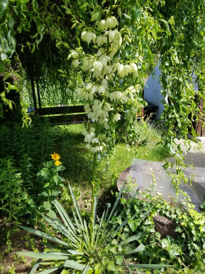 Działka rod Warszawa Ochota, ul. Wirażowa. Zdjęcie 5