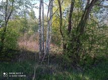 Działka budowlana Tomczyn. Zdjęcie 3