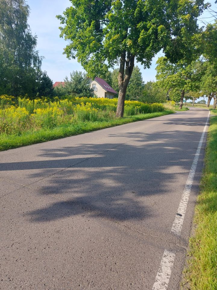 Działka rolno-budowlana Marcinkowo. Zdjęcie 10
