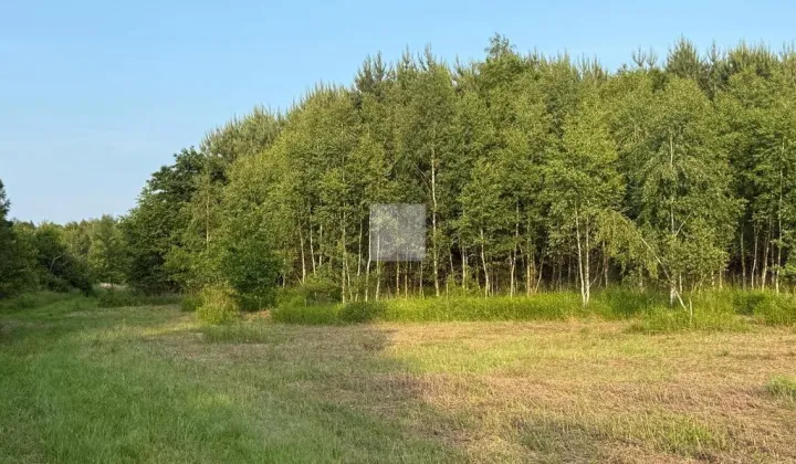 Działka rekreacyjna Radawa, ul. Cienkie