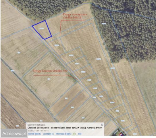 Działka budowlana Słocin. Zdjęcie 1