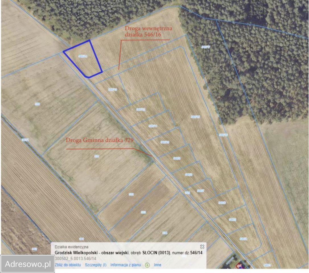 Działka budowlana Słocin. Zdjęcie 1