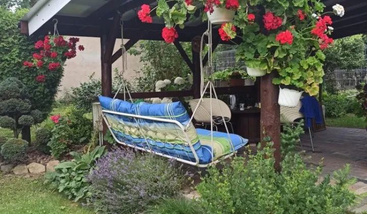 Działka rod Mikołów Centrum
