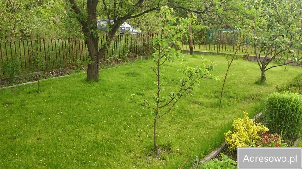 Działka rod Kielce Świętokrzyskie. Zdjęcie 8