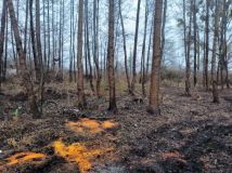 Działka rod Stęszew. Zdjęcie 2