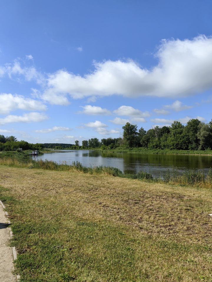 Działka rekreacyjna Wólka Zamkowa. Zdjęcie 7
