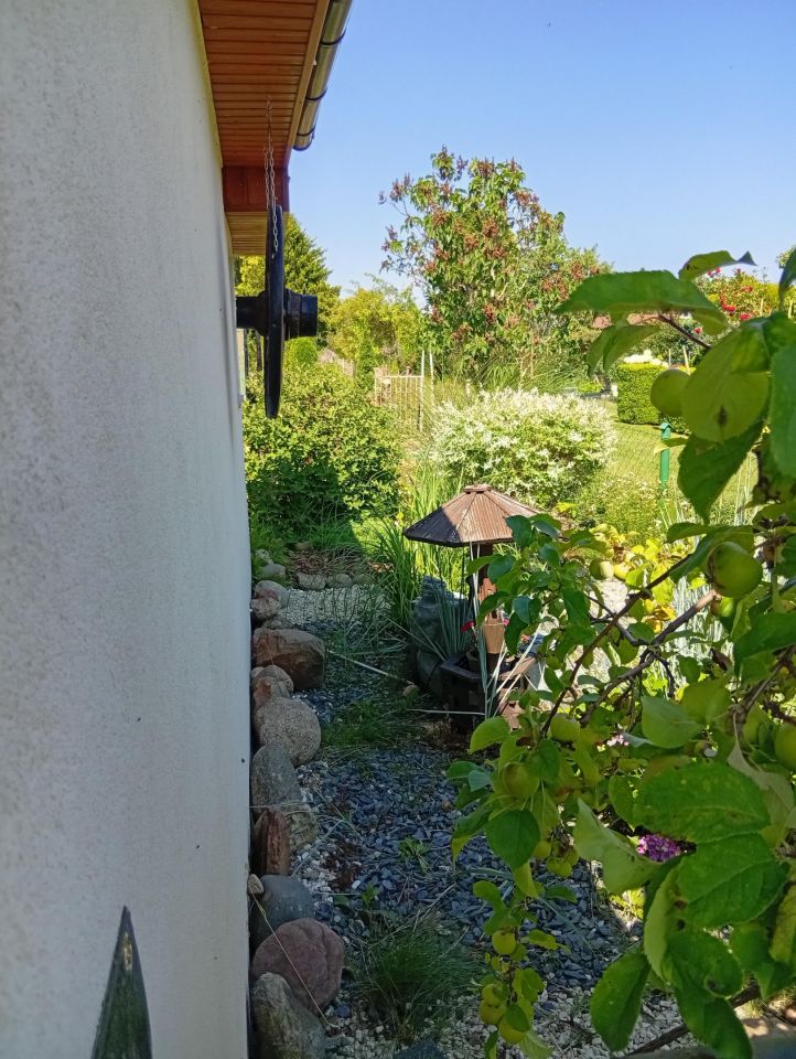 Działka rod Gdynia Babie Doły, ul. Zielona. Zdjęcie 7