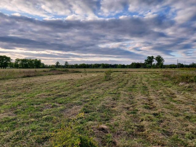 Działka budowlana Budy Janowskie. Zdjęcie 1