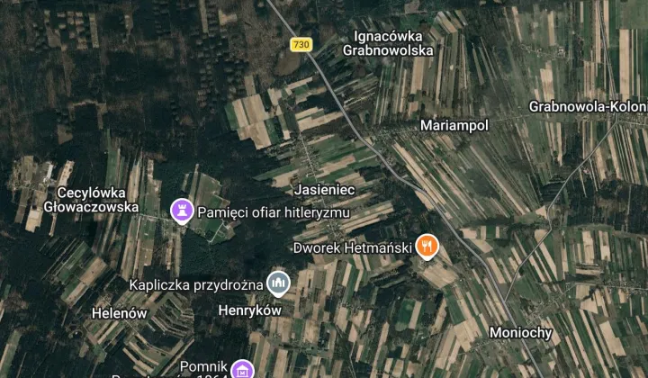 Działka leśna Jasieniec