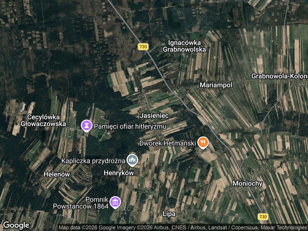 Działka leśna Jasieniec. Zdjęcie 1