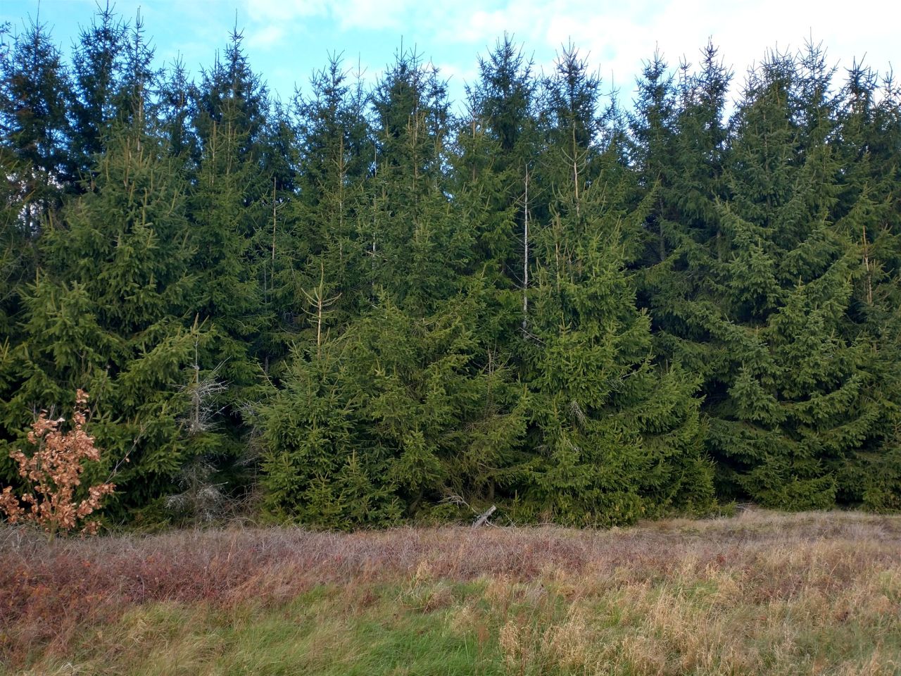 Działka rolna Ługi. Zdjęcie 14