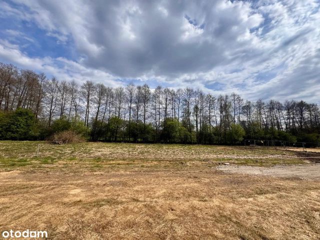 Działka budowlana Babiczki. Zdjęcie 6