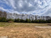 Działka budowlana Babiczki. Zdjęcie 4