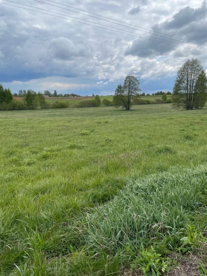 Działka rolno-budowlana Bargłów Dworny. Zdjęcie 4