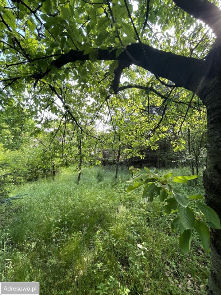 dom wolnostojący, 4 pokoje Cierpice. Zdjęcie 11