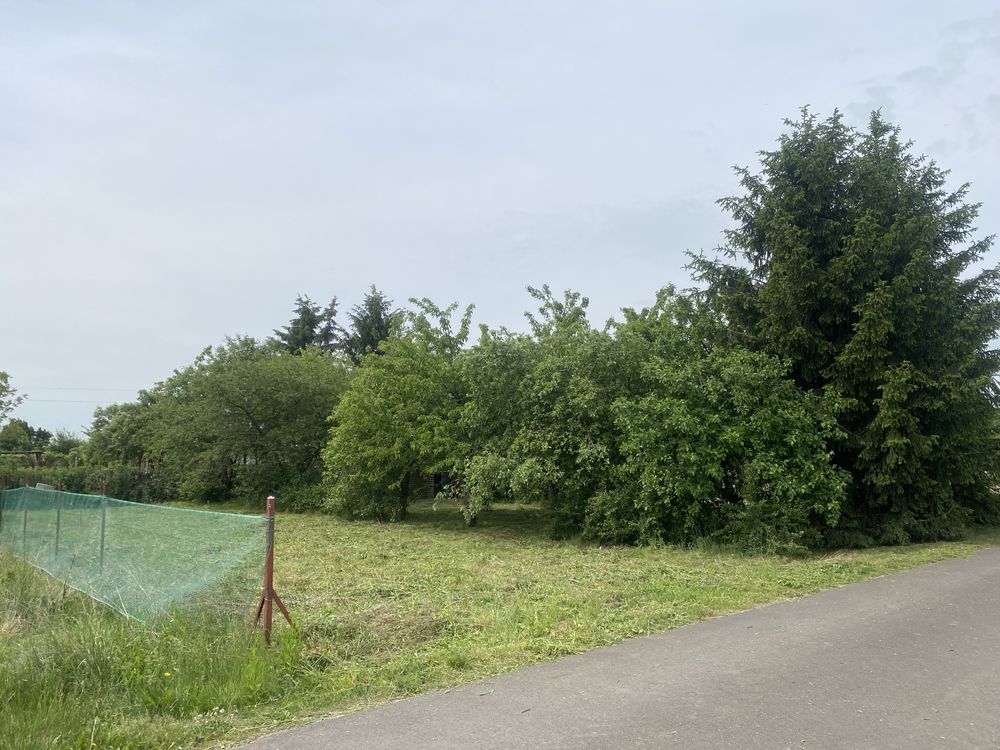 Działka rod Szymanów. Zdjęcie 2