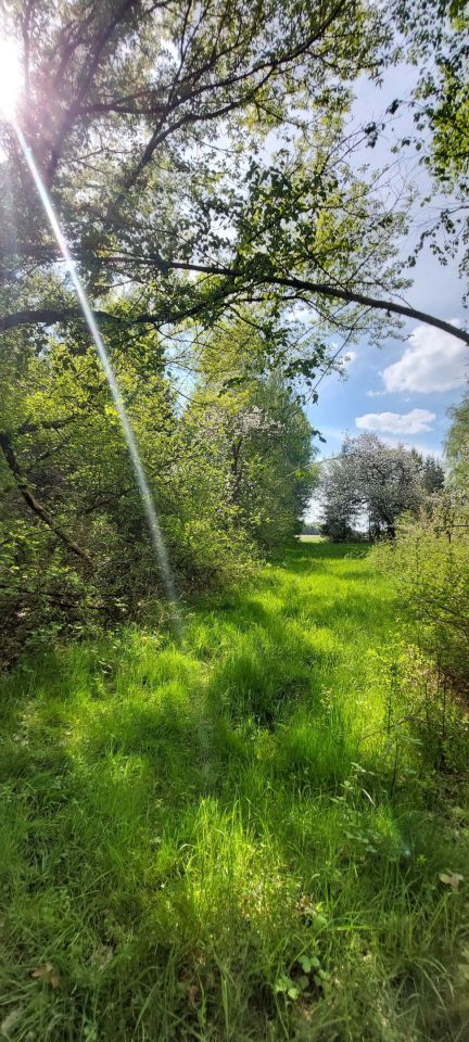 Działka budowlana Lisy