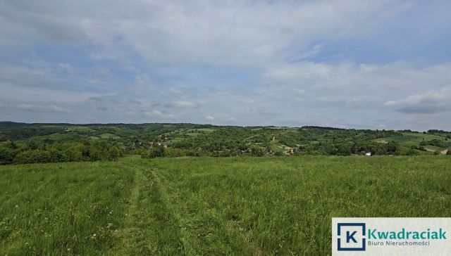 Działka rolna Golcowa. Zdjęcie 5