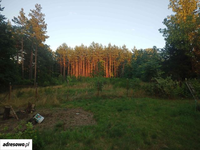 Działka budowlana Budy Barcząckie. Zdjęcie 1