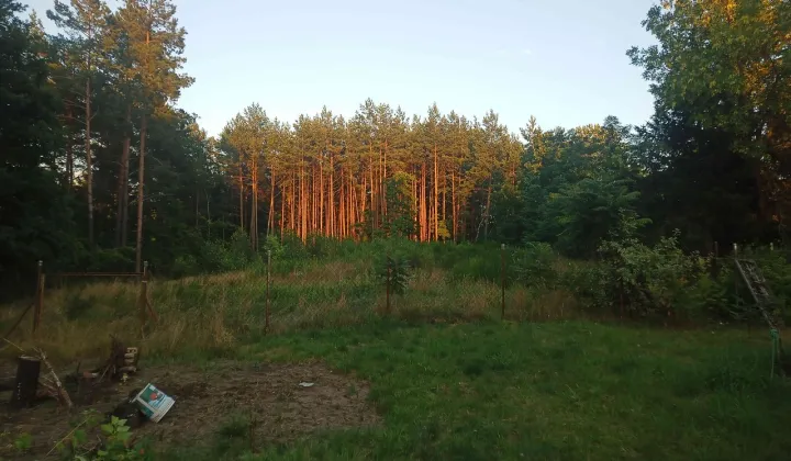 Działka budowlana Budy Barcząckie