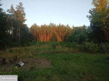 Działka budowlana Budy Barcząckie, ul. Sosnowa. Zdjęcie 2