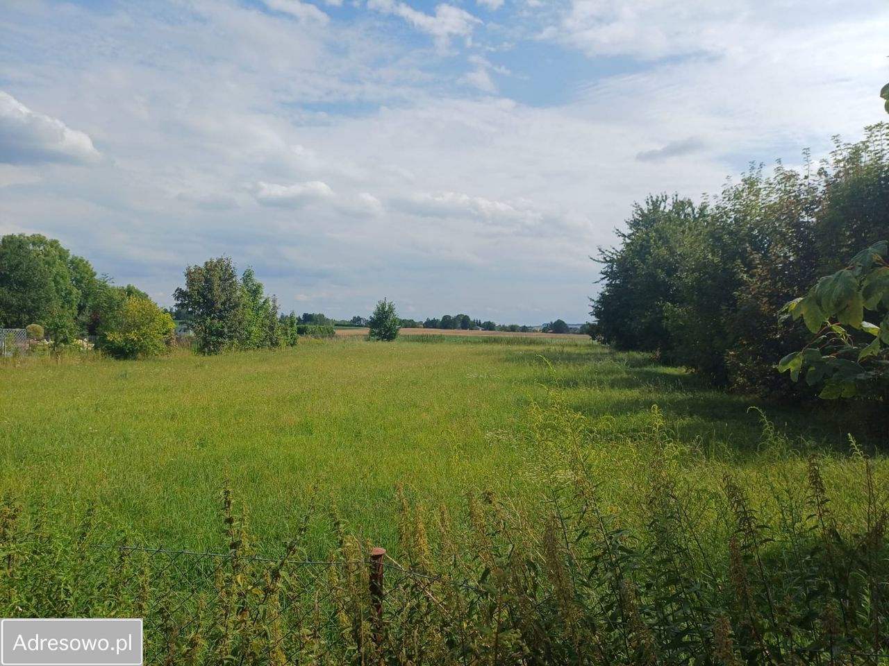 Działka budowlana Jabłonna Pierwsza. Zdjęcie 7